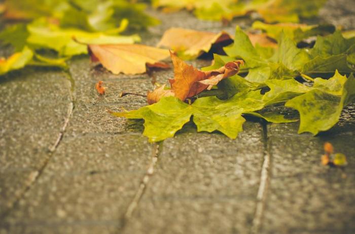 夜雨丨李勤：我很平凡（歌词）——来自一线志愿者的心声，致敬每一个平凡又努力的你！