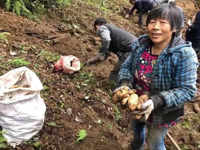 陇南市康县：冬日“丰”景别样好