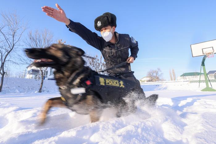 为适应严寒天气，新疆阿西尔边境派出所开展警犬冬季训练