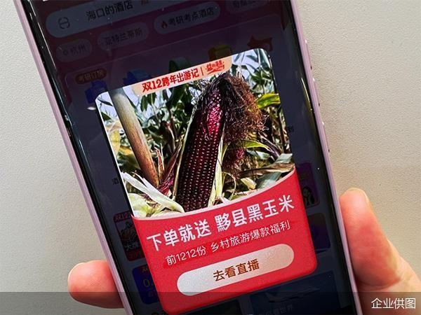 “黑多县”的黑玉米“红”了 飞猪：囤乡村旅游商品多送一件当地特产