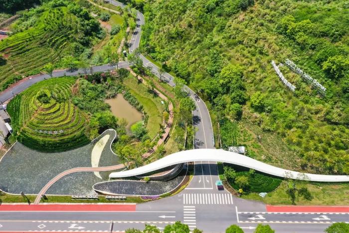 杭州2条绿道登上省级榜单！有你家附近的吗？