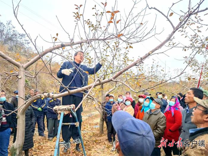 平凉市静宁县：奋力书写人民满意的时代答卷