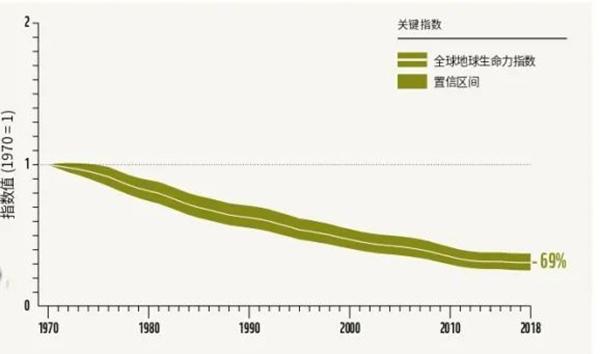 2022年度图片·动物①｜人类面对生物多样性丧失的挑战