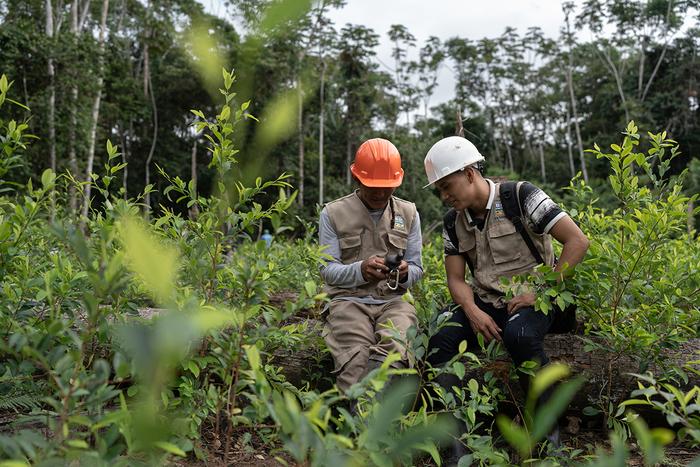 2022年度图片·动物④｜聚焦亚马孙，保护地球最大生物圈