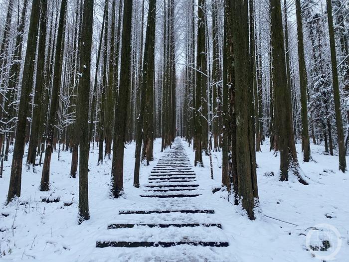 玩雪啦！重庆周边区县多地下雪 喜欢玩雪的小伙伴走起