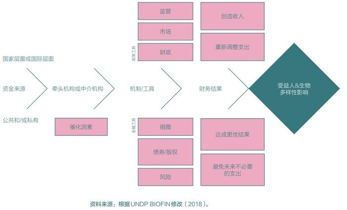 2022年度图片·动物⑥｜生物多样性金融支持生态修复