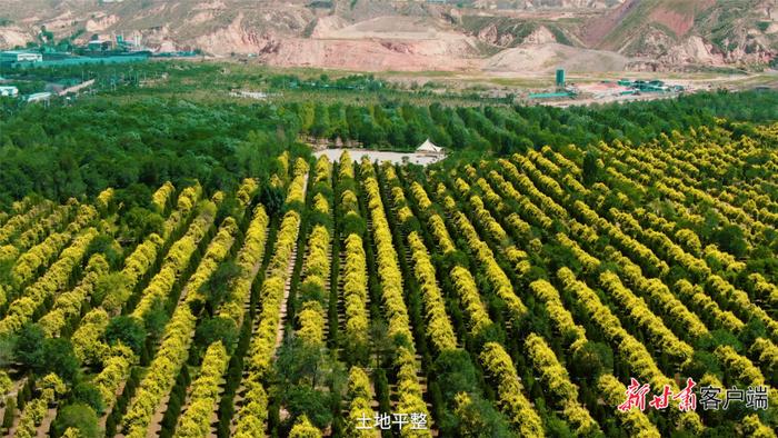 【学习宣传贯彻党的二十大精神 党组织书记专访】访红古区委书记薛蕾​