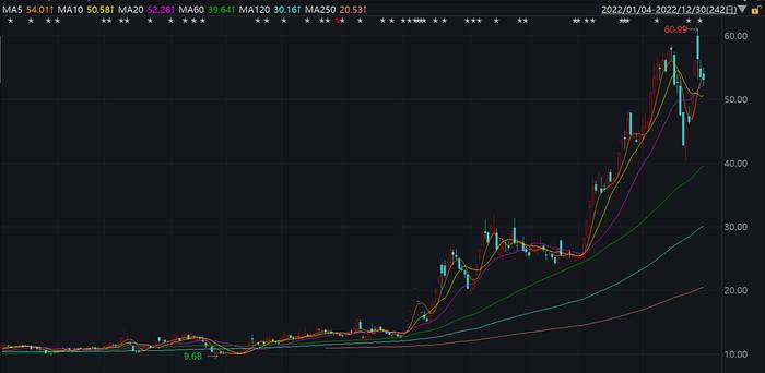 2022年A股十大牛股出炉：绿康生化大涨381%夺冠