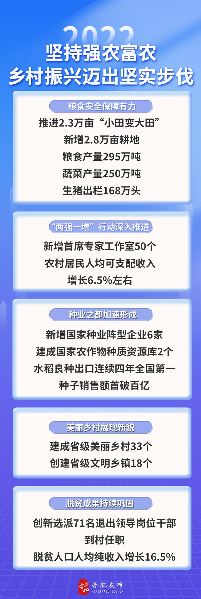 今年合肥办了哪些事？