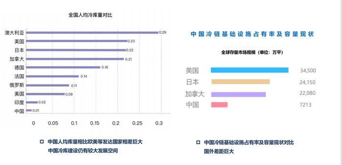 实业奔腾•科创新力量丨链库沈妍：前华为专家用AI+大数据升级中国冷链物流