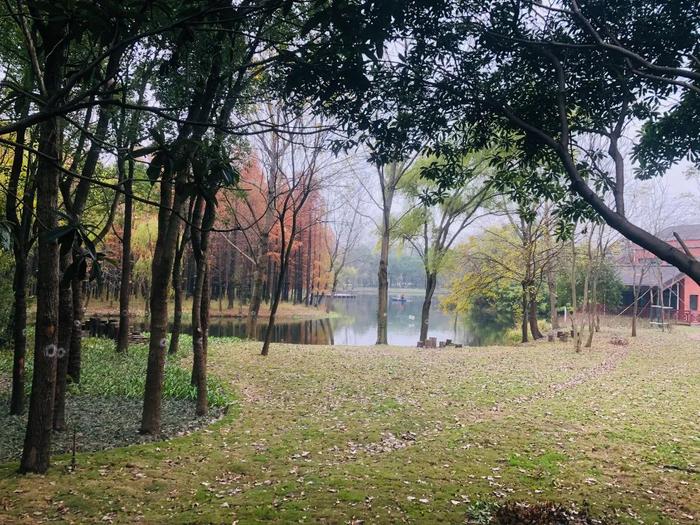 【探索】宝山丰翔智秀公园完成改造升级，环上又多了一幅淡然雅致的生态美景
