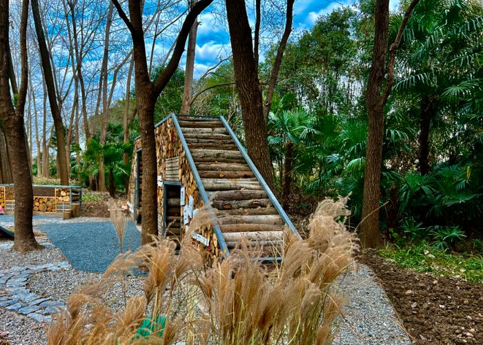 【探索】宝山丰翔智秀公园完成改造升级，环上又多了一幅淡然雅致的生态美景