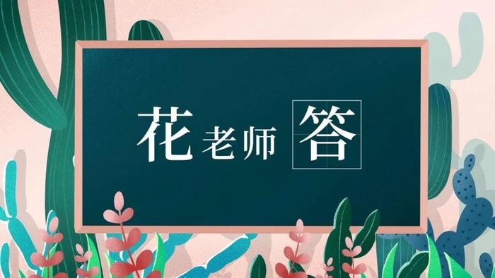 花老师答：如何才能让顾客追随自己的产品？