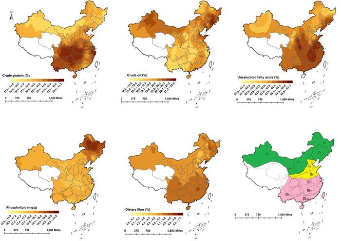 中国大豆有了精准分布地图 为种植加工提供科学参考