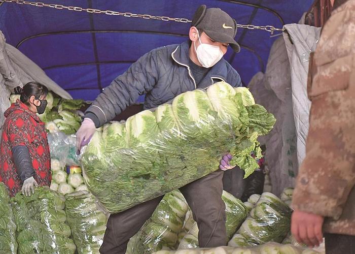 【新春走基层】“青海大菜篮”供应充足 日均进场近2600吨蔬菜水果