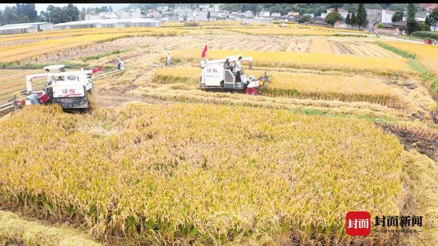 四川省人大代表余世学：如何“藏粮于技”？在“天府第二粮仓”打造过程中寻找方法丨代表委员在这里