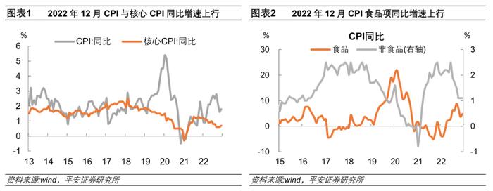 钟正生：需要担心物价反弹么——2022年12月物价数据点评