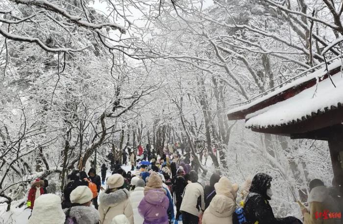 难得一见！四川多地飘雪！冷空气还要持续到…