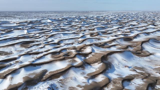 国家二级保护动物鹅喉羚在大漠戈壁“雪中奔跑”