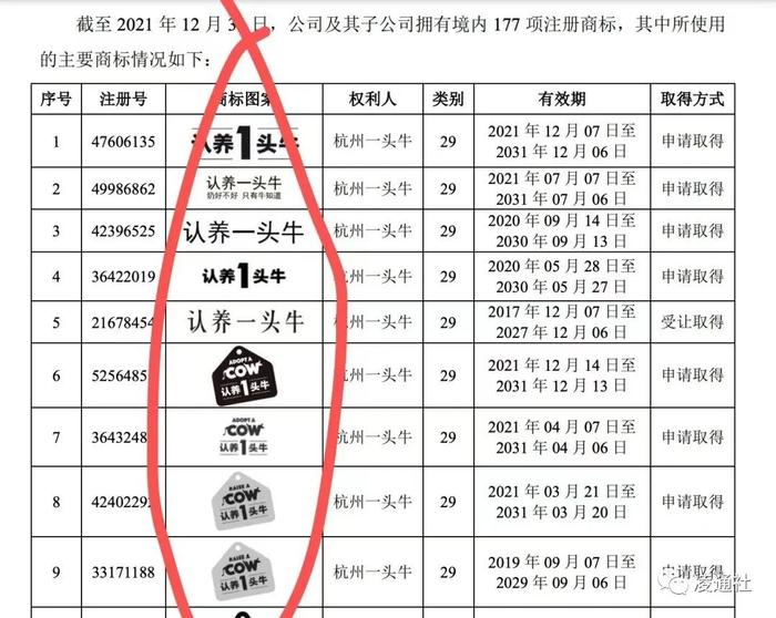 认养一头牛IPO春节迎大考：创始人吴晓波意外消失，证监会拷问客户获取、业务开拓是否涉及传销