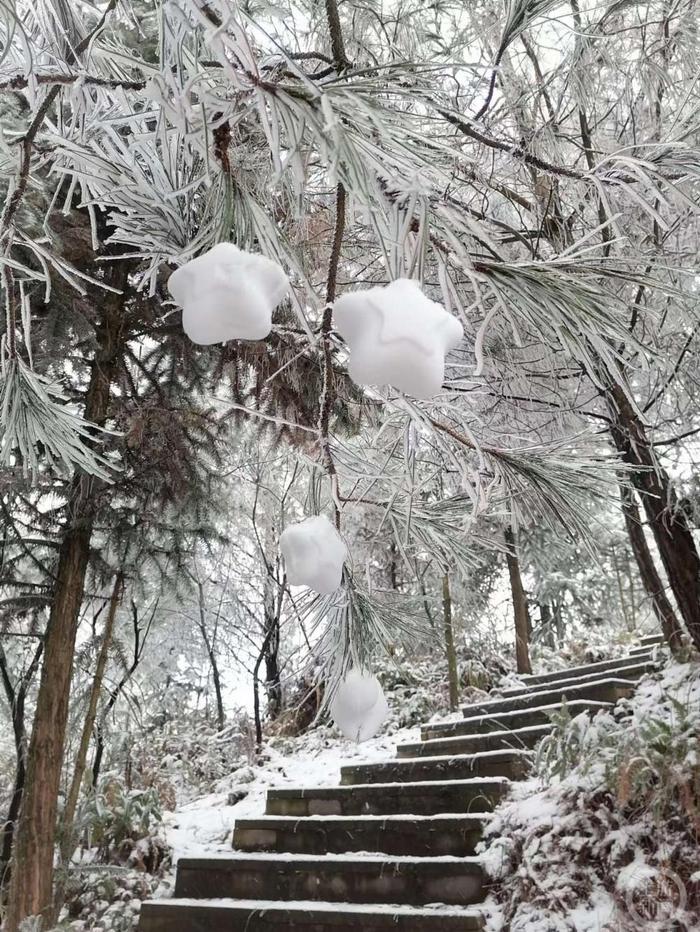 重庆主城上一次下雪还是上一次，你还记得2016年的那场雪吗？