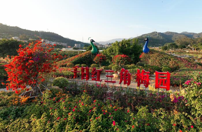 春节怎么玩？烟花、温泉、花灯、田园、民俗……来厦门同安欢乐过大年！