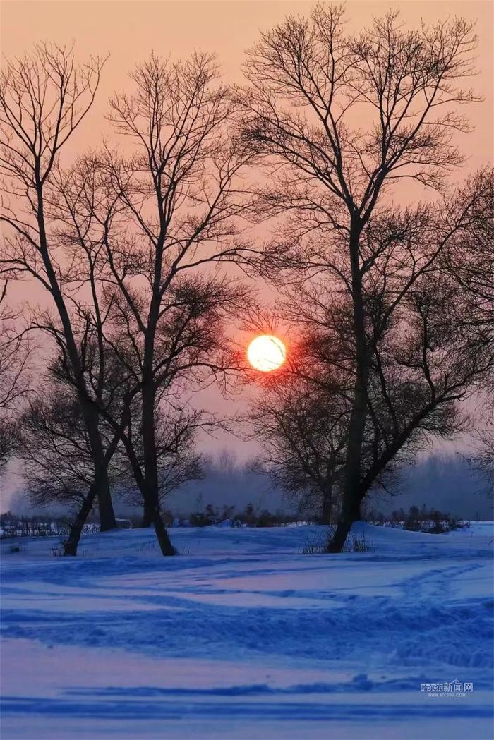 今日最低气温-25℃！冰城近期干冷天气“上线”丨超多美图的天气预报