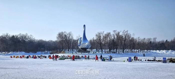 今日最低气温-25℃！冰城近期干冷天气“上线”丨超多美图的天气预报