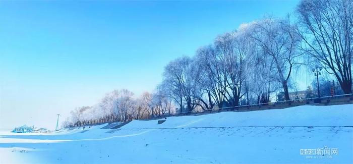 今日最低气温-25℃！冰城近期干冷天气“上线”丨超多美图的天气预报