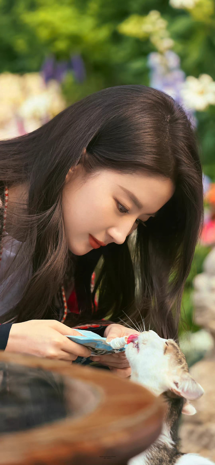 刘亦菲——壁纸 《去有风的地方》剧照!神仙姐姐这也太美了吧!_新浪新闻
