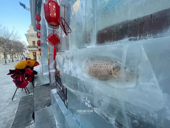 看！冰灯里有鱼，今年的“贼大”！就在中央大街，还有……
