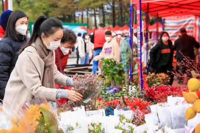 超500场活动、景区消费券……过年的佛山好精彩！