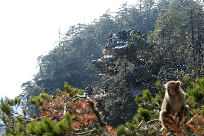 春节去哪玩？全国多家景区优惠活动名单来了→