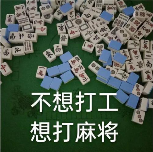 打麻将“胡了”用英文怎么说？