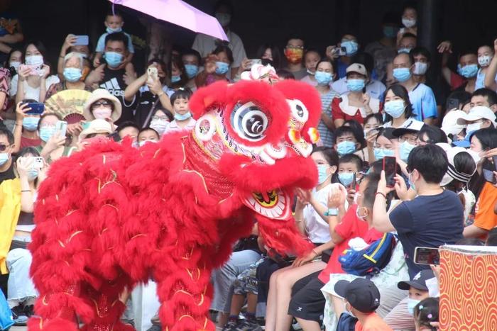 咚咚咚咚锵！佛山五区醒狮表演时间表get√