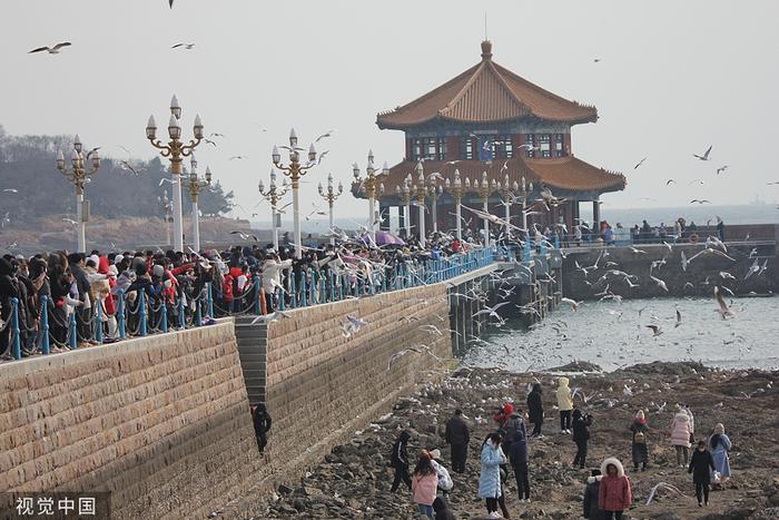 媒体聚焦春节国内旅游市场：强势回暖，近郊游自驾游备受青睐