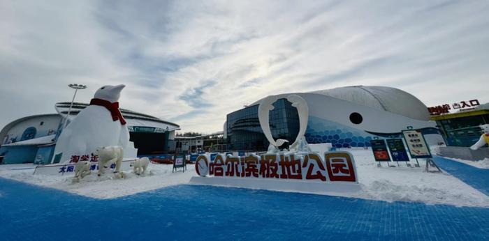 “科幻世界”“冰雪奇缘”“美到心坎里”｜童话里的冰雪情 搅起一波波冰城热