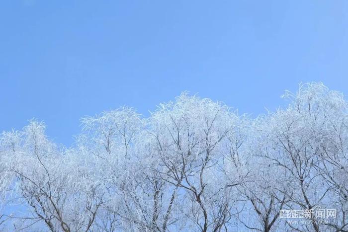 春节哈尔滨这些景点受欢迎，你去了几个？丨今日气温小幅回升 未来几日天气晴好