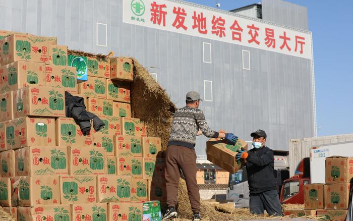 北京新发地市场蔬菜交易逐步回温，今日上市量突破1万吨