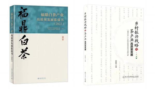 闽东之光照前行，山海之歌谱振兴——北京大学闽东产业与“福”文化实践调研团赴宁德实践调研