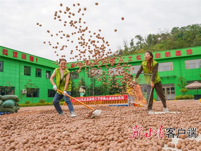 【学习宣传贯彻党的二十大精神 党组织书记专访】访陇南市政协副主席、成县县委书记王文全