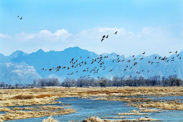 世界湿地日丨延庆新添“金招牌”！野鸭湖湿地入选《国际重要湿地名录》