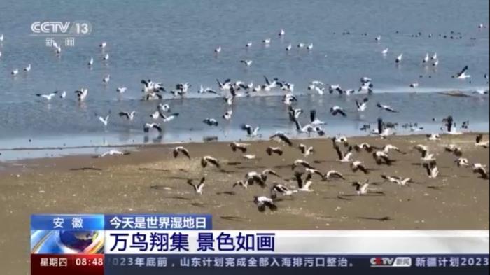 我国湿地面积约5635万公顷，是全球湿地类型最齐全国家之一