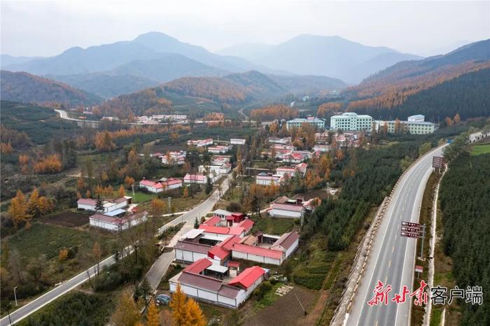 【学习宣传贯彻党的二十大精神 党组织书记专访】访康乐县委书记杨志军