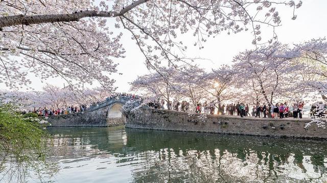 去年太湖无锡水域水质达多年来最好，今年再投110亿元治理