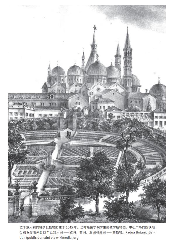 《植物猎人的世界收藏:英国皇家植物园珍藏画作背后的发现之旅》内页插图。