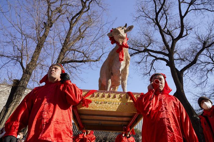 节日东城｜立春日，古观象台下“鞭打春牛”迎春纳福