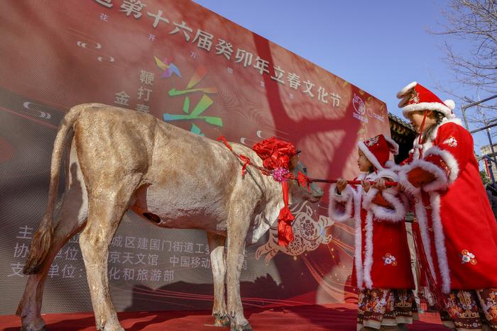 节日东城｜立春日，古观象台下“鞭打春牛”迎春纳福