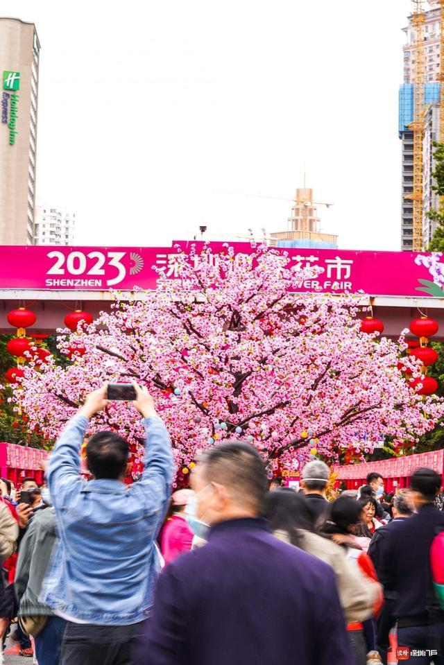 2023年春节前,爱国路花市重启。读特记者 葛墨含 摄
