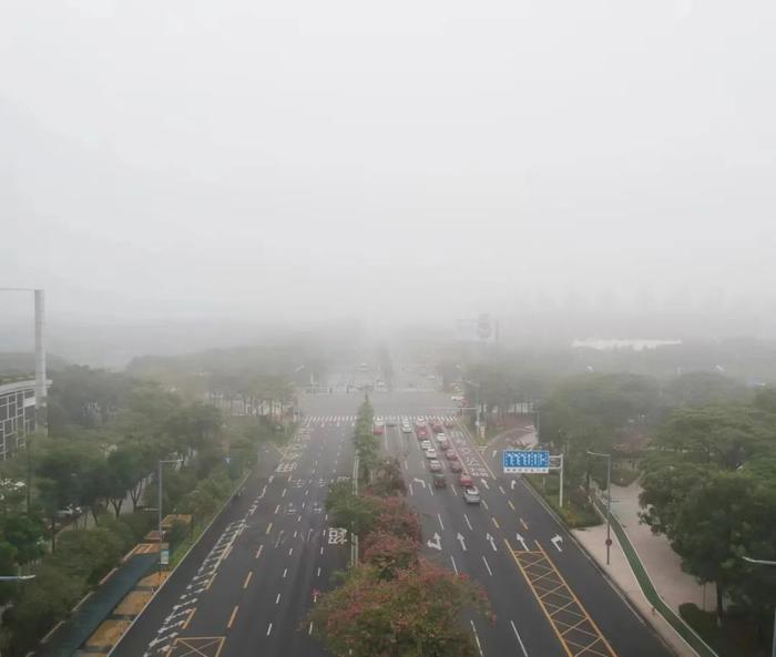 雾蒙蒙！今早佛山发布大雾预警，雨雾天气要持续到……